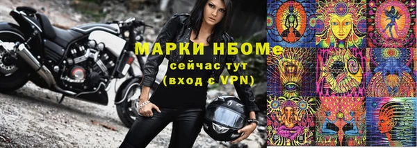 прущие грибы Дмитров