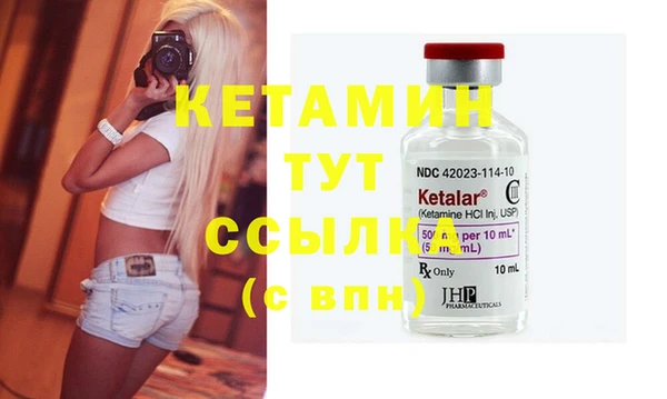 прущие грибы Дмитров