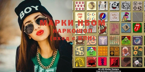 прущие грибы Дмитров