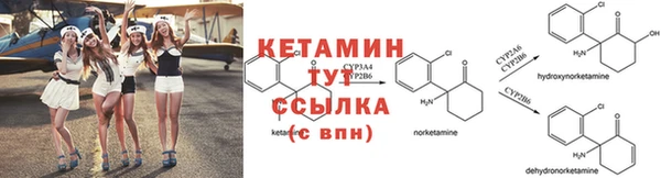 ешки Дмитровск