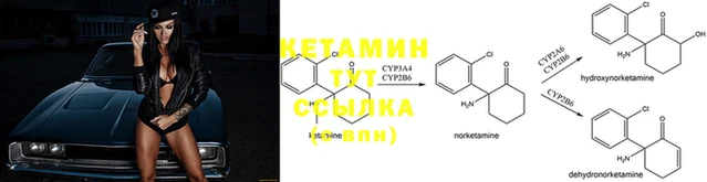 прущие грибы Дмитров