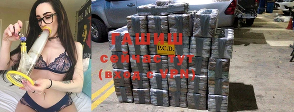 прущие грибы Дмитров