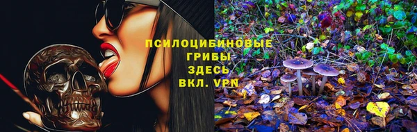 ешки Дмитровск