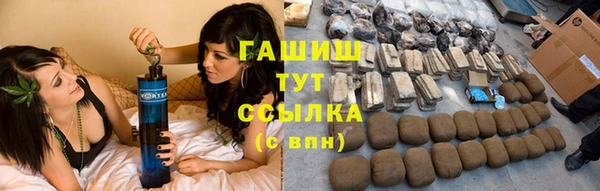 прущие грибы Дмитров