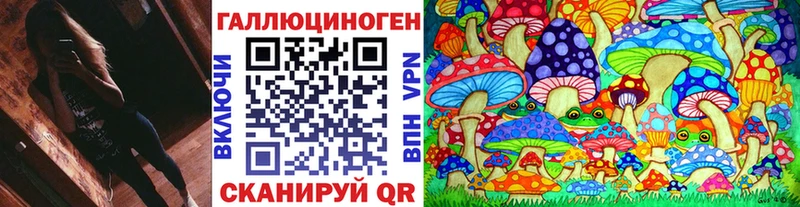 Купить где  Весьегонск  Галлюциногенные грибы GOLDEN TEACHER 
